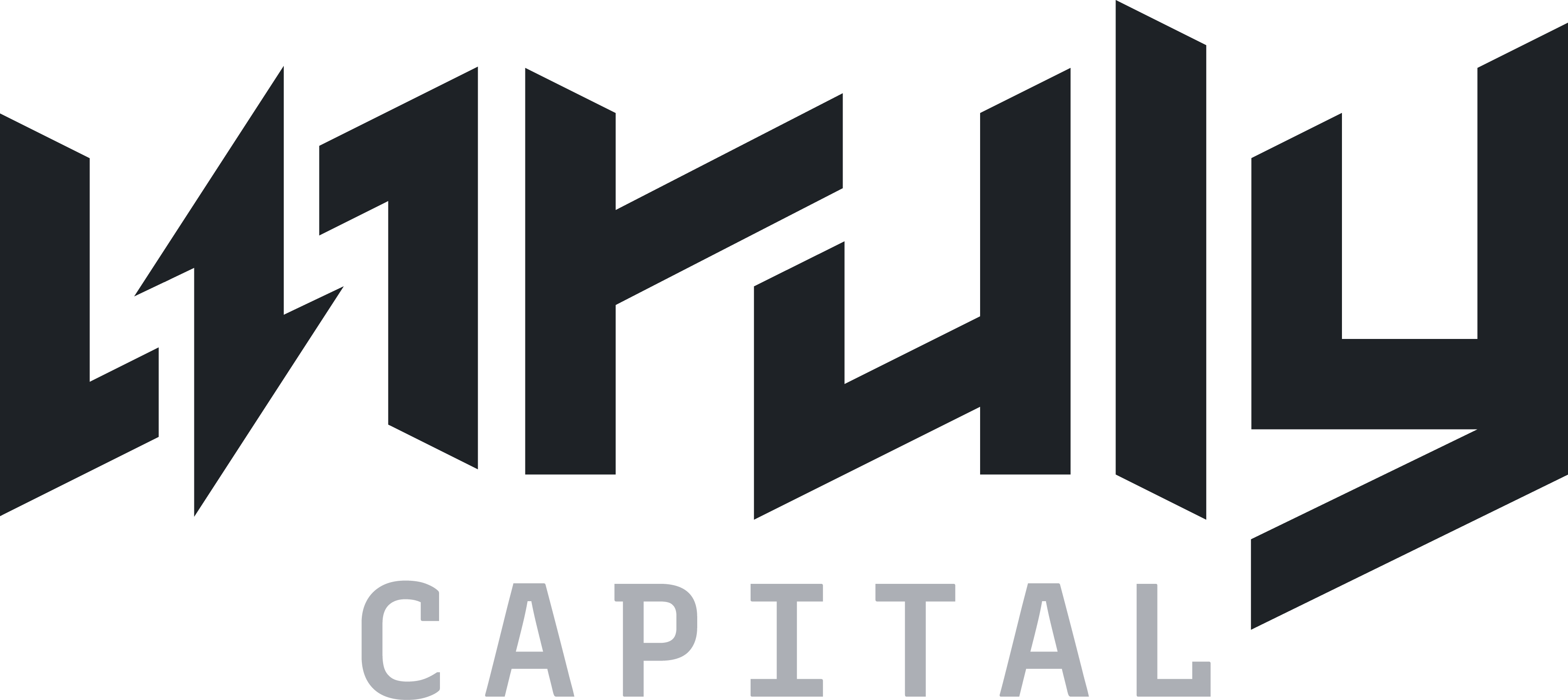 Unruly Capital